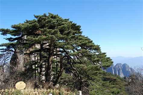  Huangshan,  Gizli Bir Cennetin Kapıları!