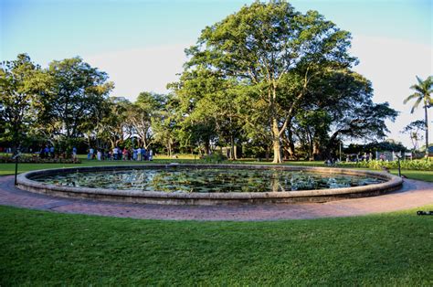 Durban Botanic Gardens: Bir Bitki Cennetinde Yolculuk Yapın!