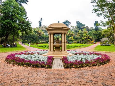 Durban Botanic Gardens: Bir Bitki Cennetinde Yolculuk Yapın!