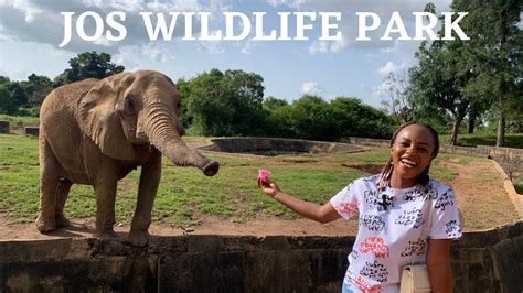  Jos Wildlife Park: Evcil Hayvanlarla Birlikte Unutulmaz Bir Afrika Macerası!