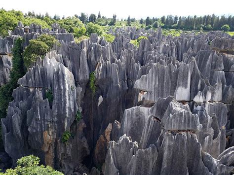 Stone Forest Şaşırtıcı Kaya Oluşumlarıyla Doludur!